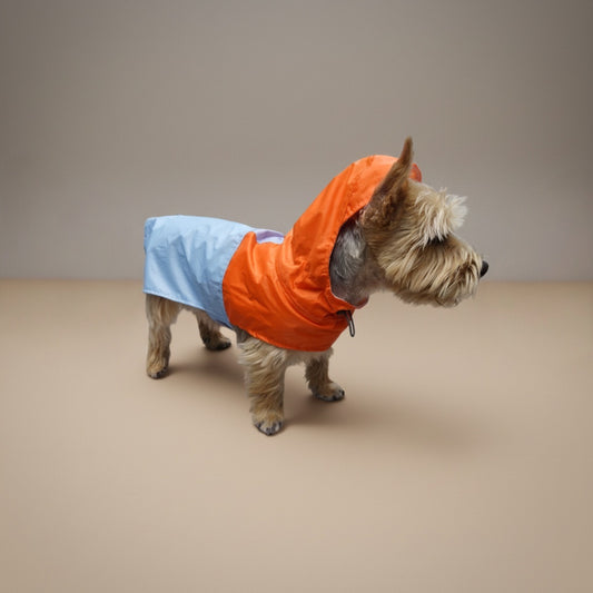 Impermeable Bodo Atardecer