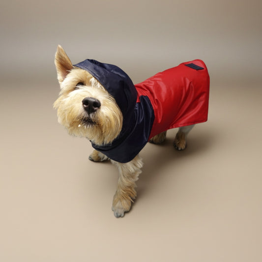 Impermeable Bodo Marinero