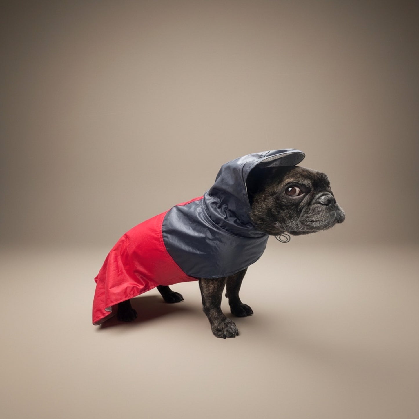 Impermeable Bodo Marinero