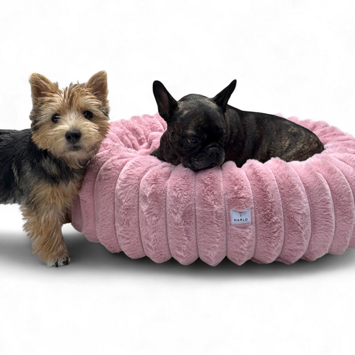 Cama Nido para perro, foto 15