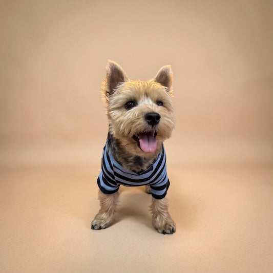 Playera de algodón azul MARLO para perro, foto 1
