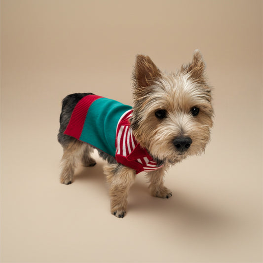 Suéter Bodo Ayudante de Santa