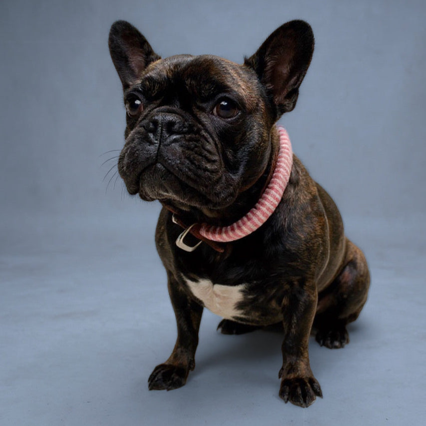 Collar de Piel con funda tejida