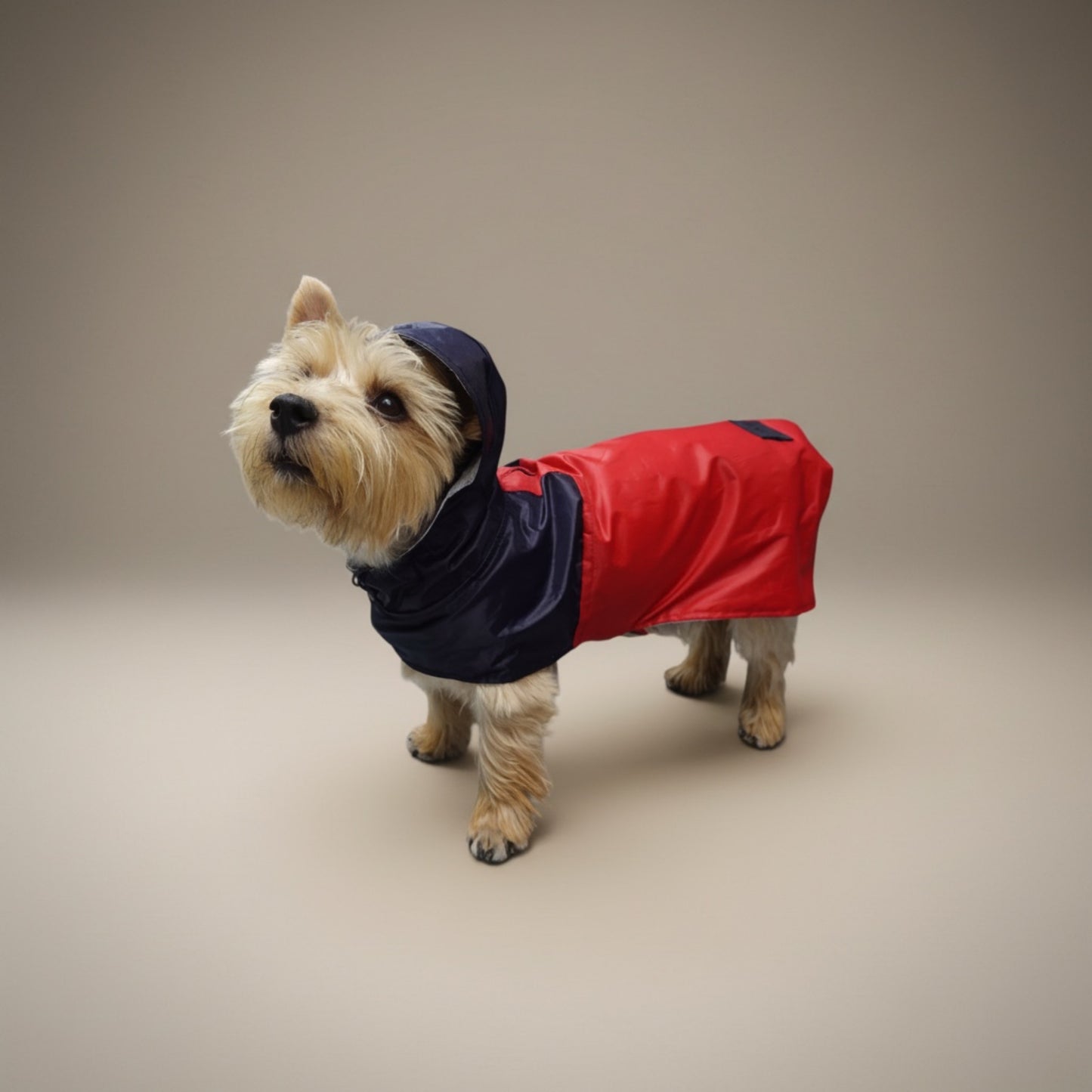 Impermeable Bodo Marinero