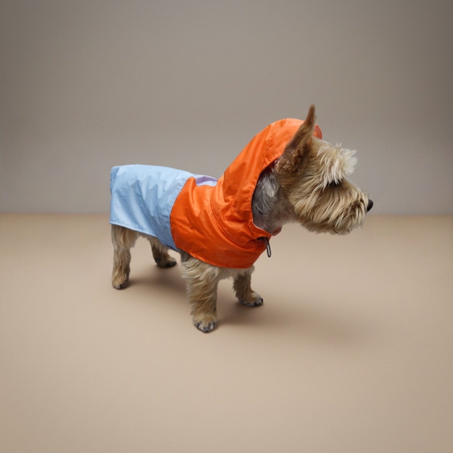Impermeable Bodo Atardecer