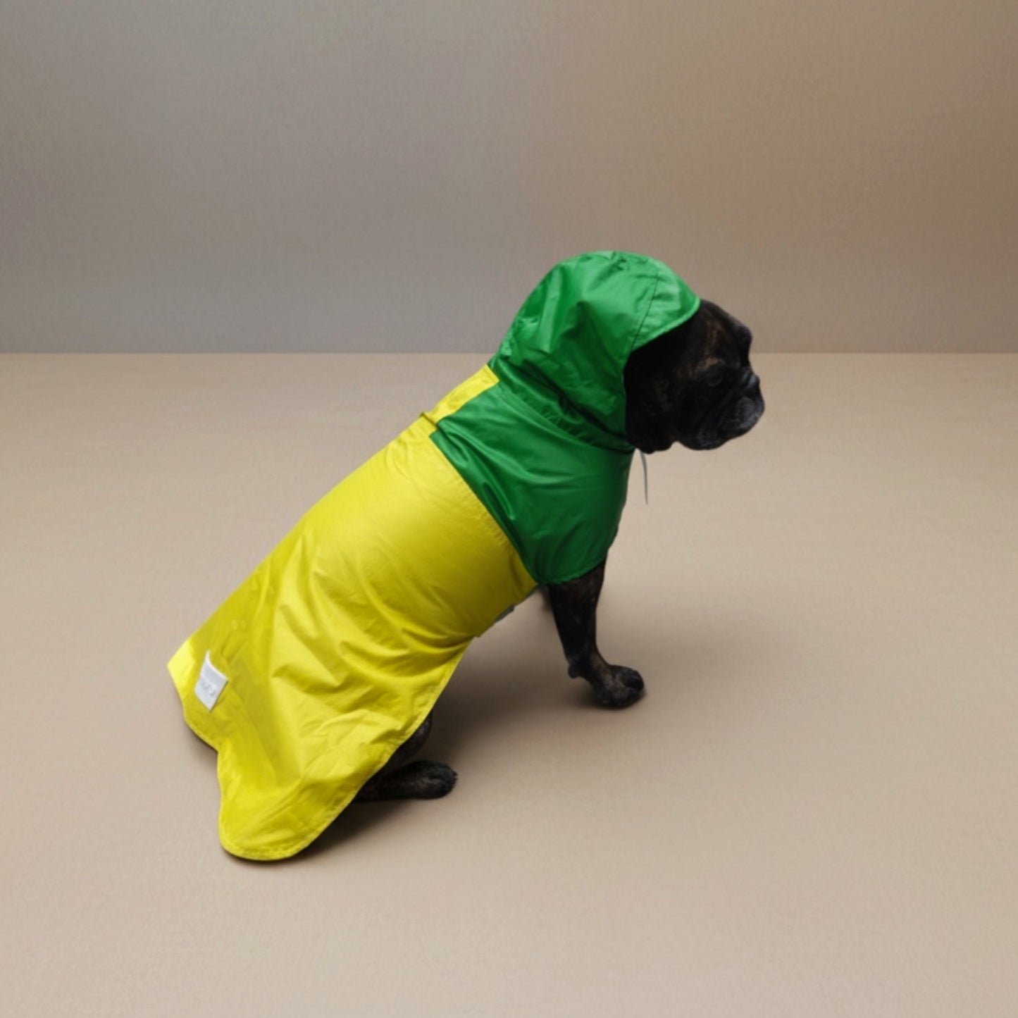 Impermeable Bodo Rana