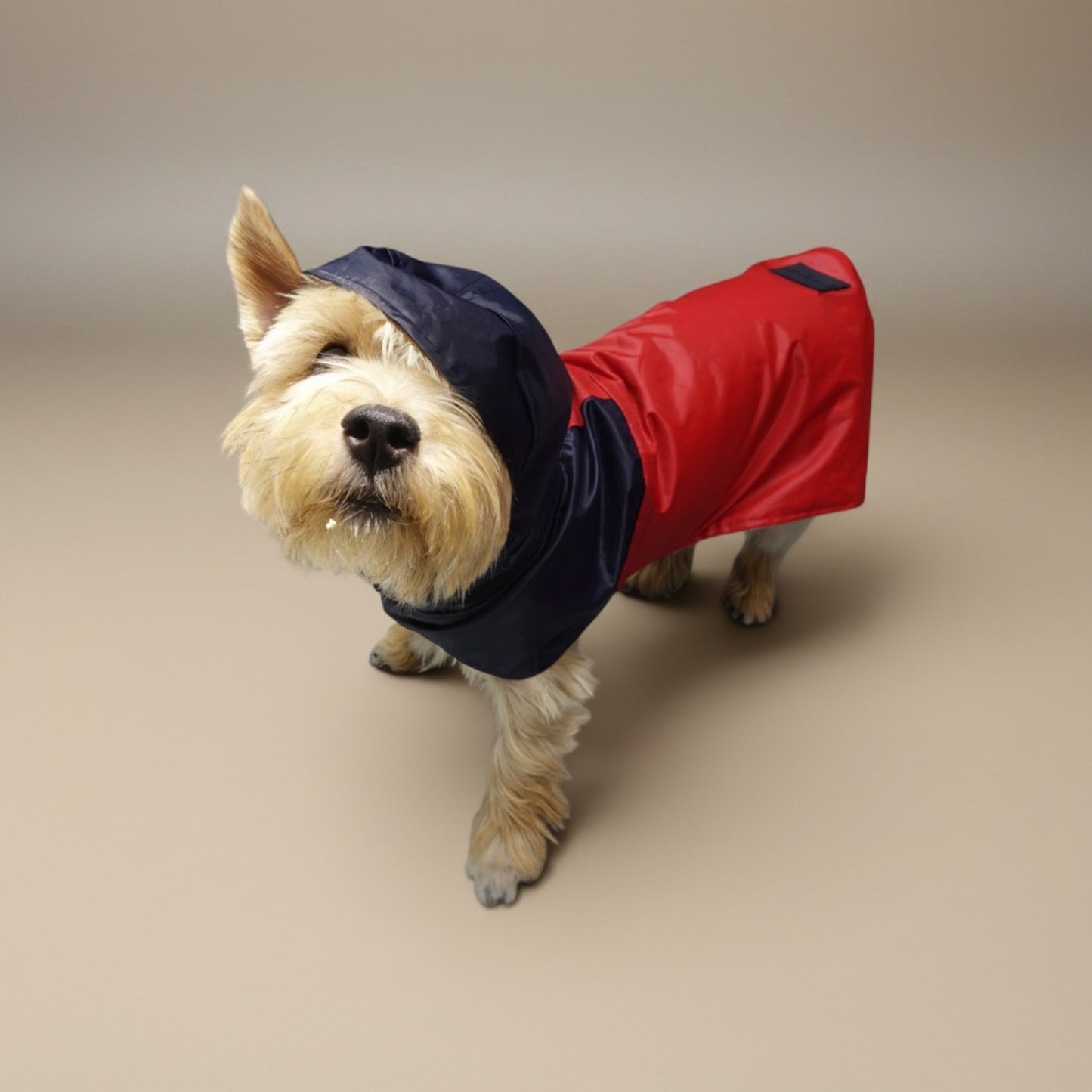 Impermeable Bodo Marinero