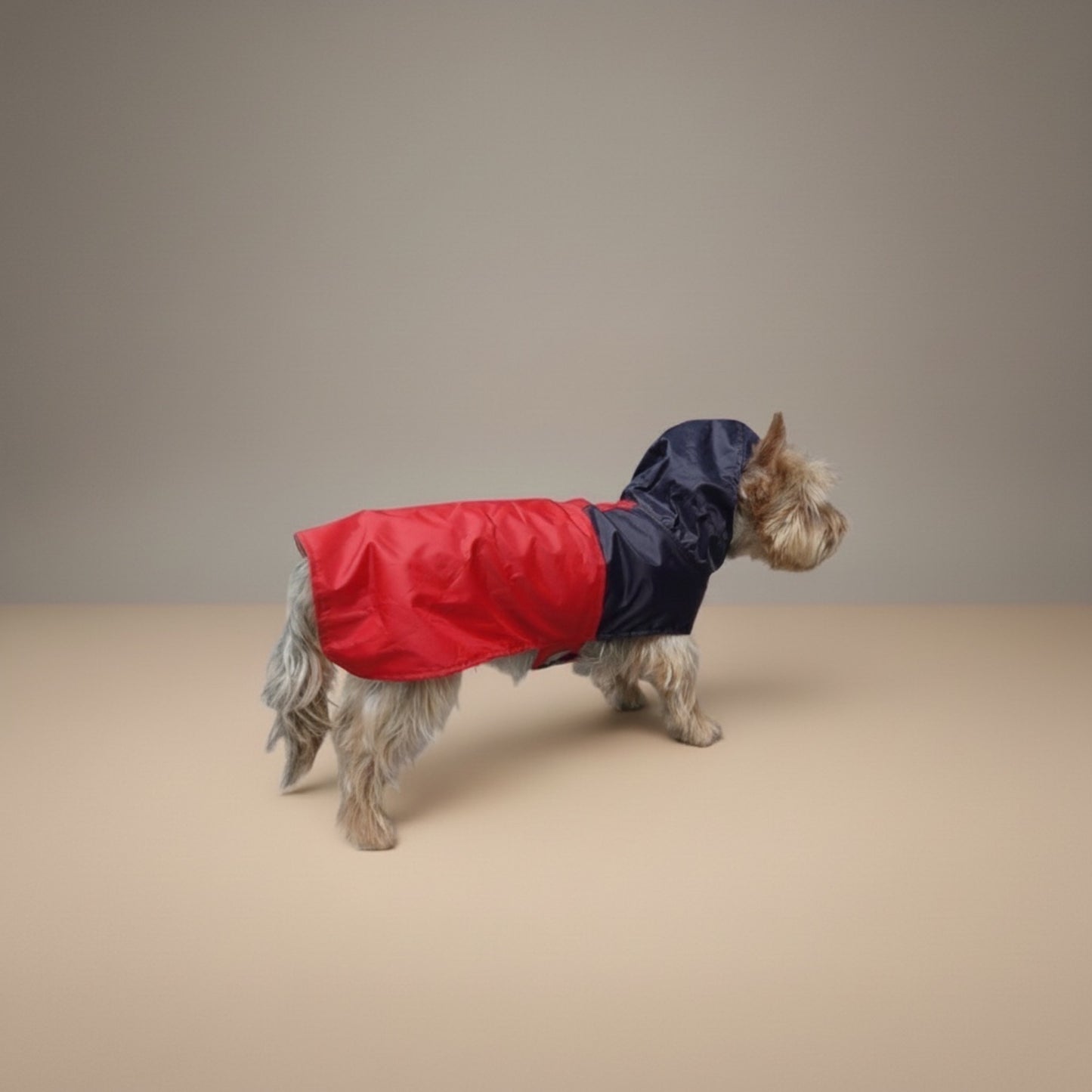 Impermeable Bodo Marinero