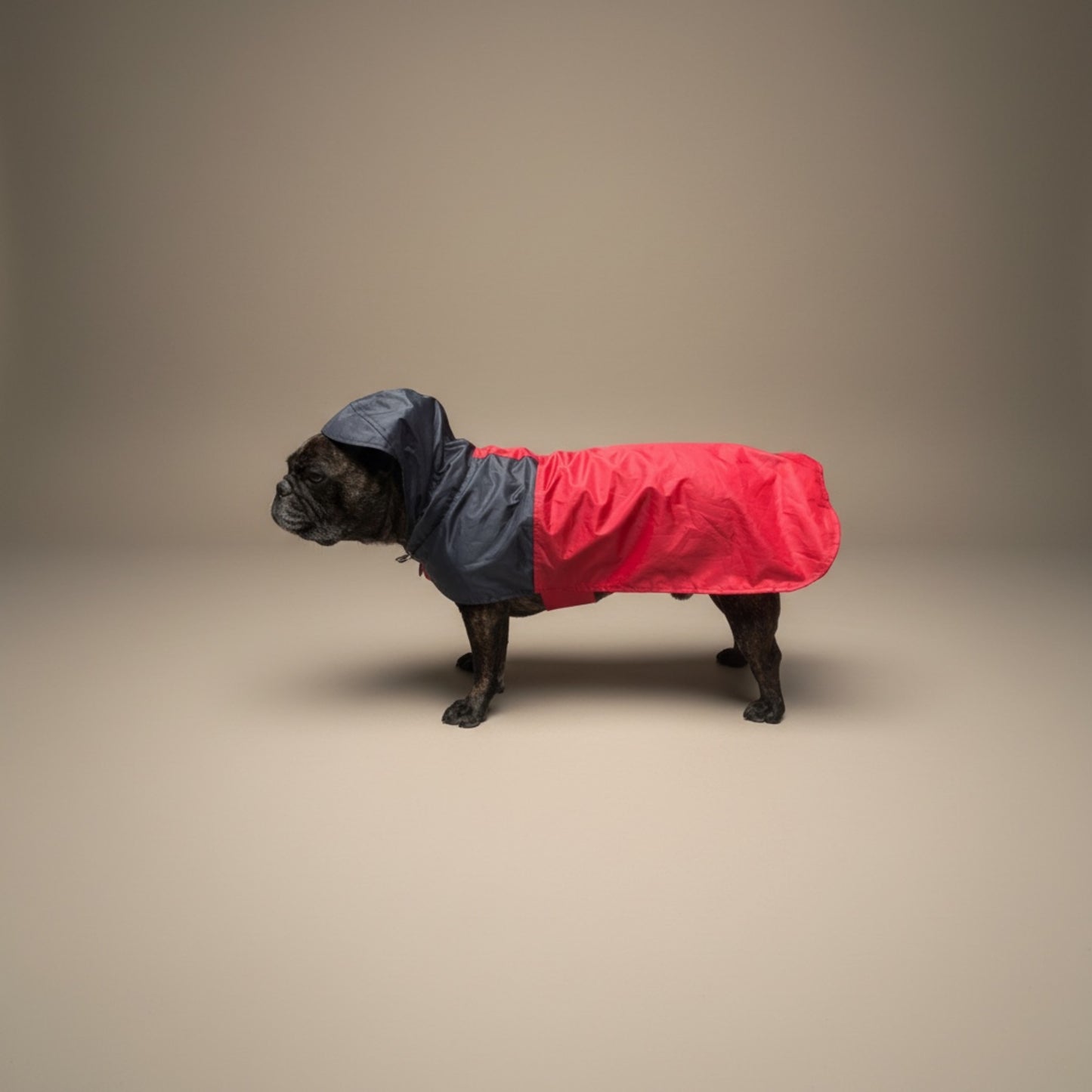 Impermeable Bodo Marinero