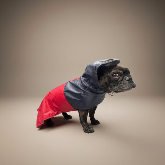 Impermeable Bodo Marinero