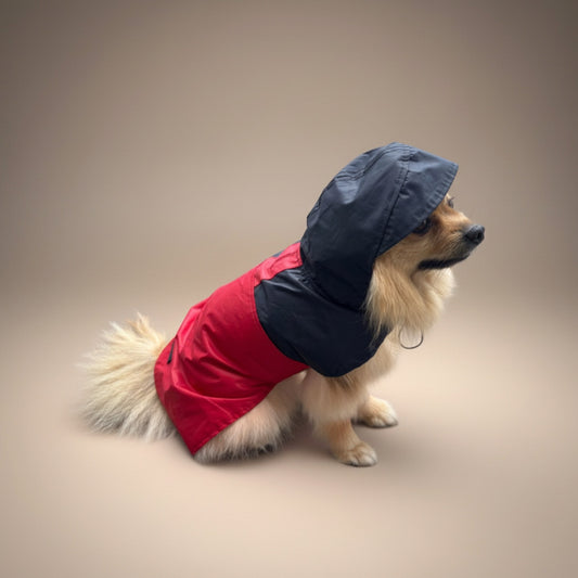 Impermeable Bodo Marinero