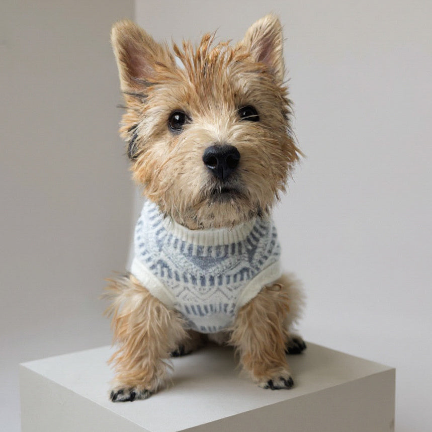 Suéter Bodo Navideño