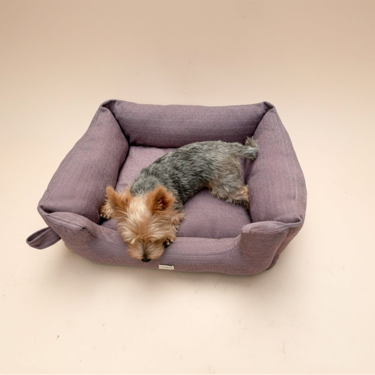 Cama Palmira lavanda para perro, vista frontal