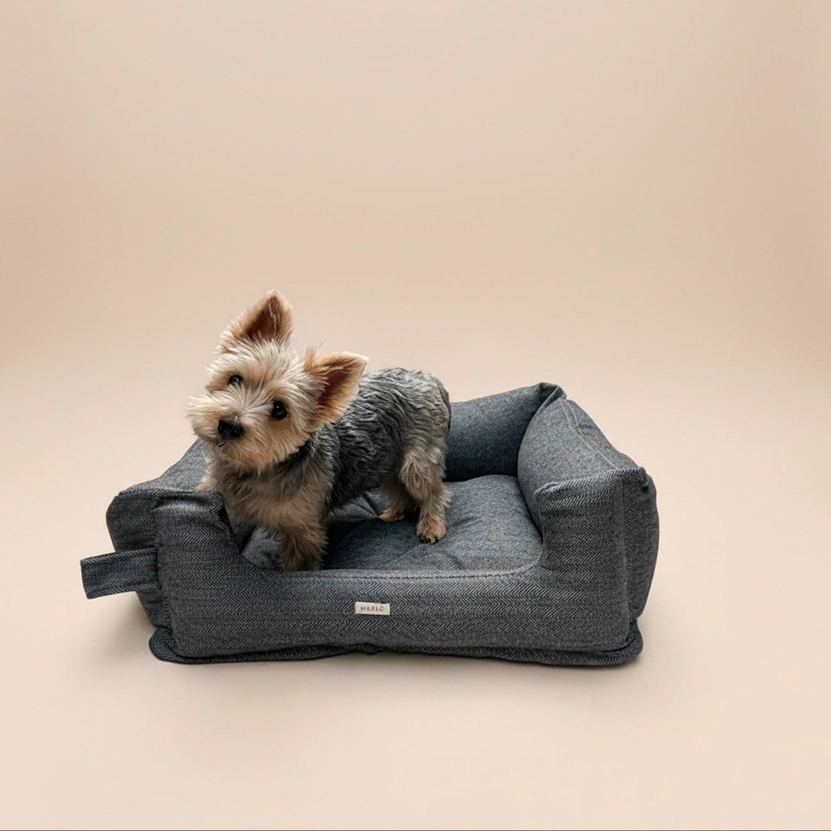 Cama Palmira gris con perro Bulldog francés
