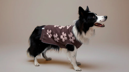 Suéter Flores Café