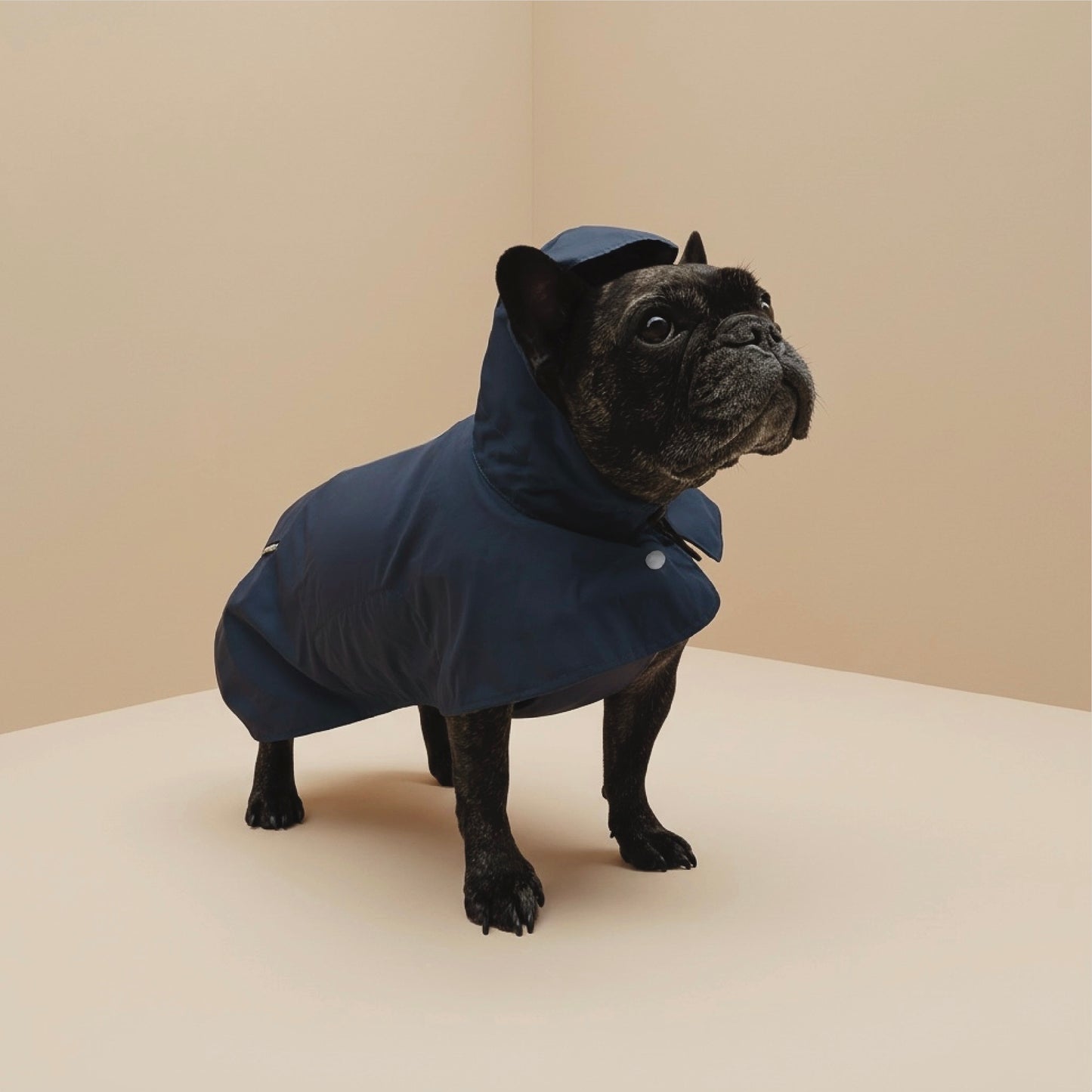 Impermeable Nube