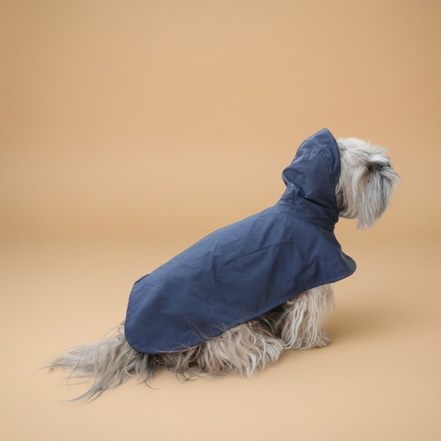 Impermeable Nube