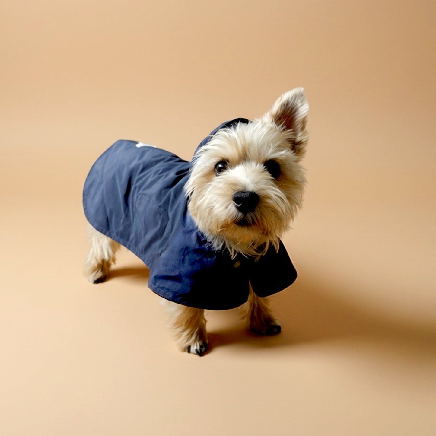 Impermeable Nube