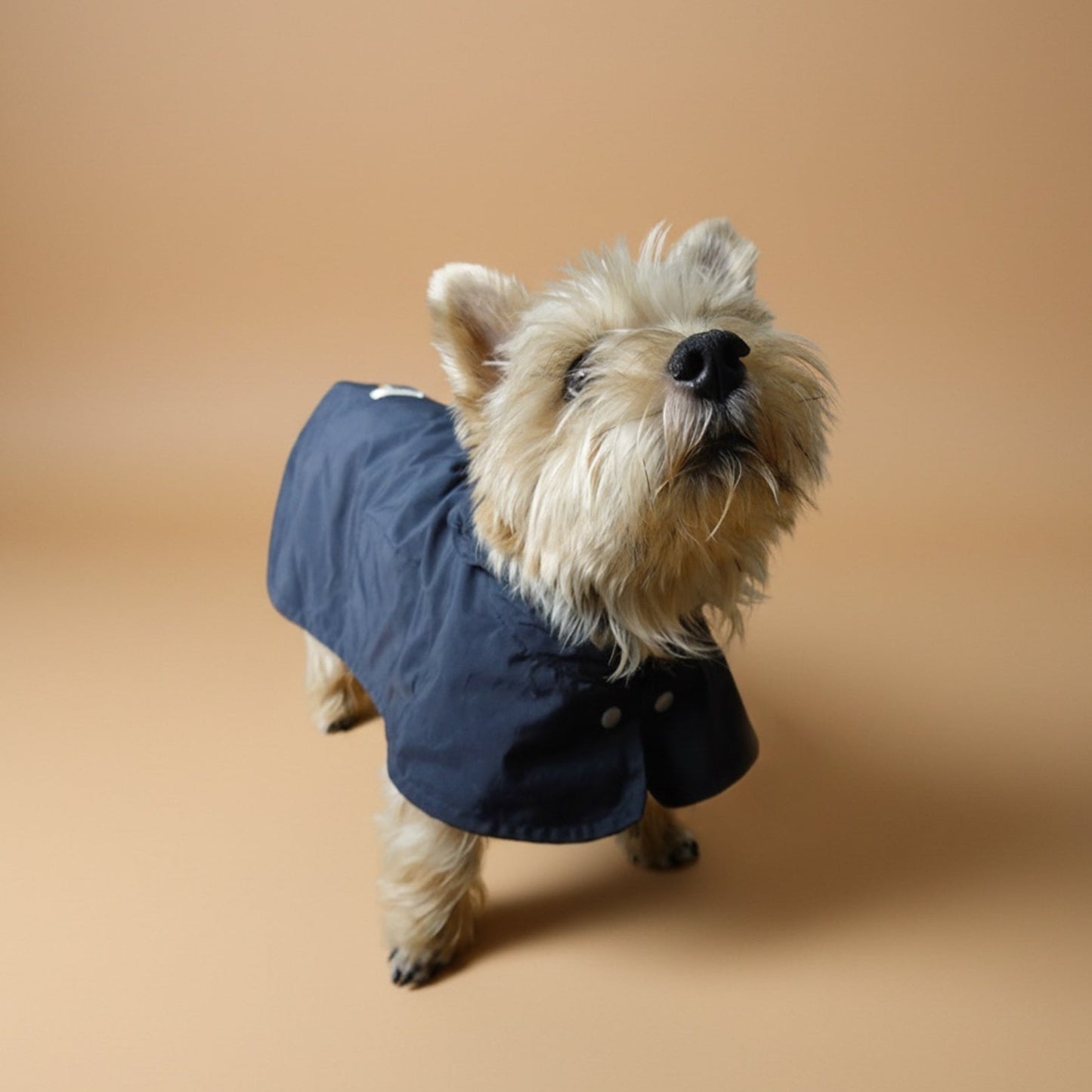 Impermeable Nube
