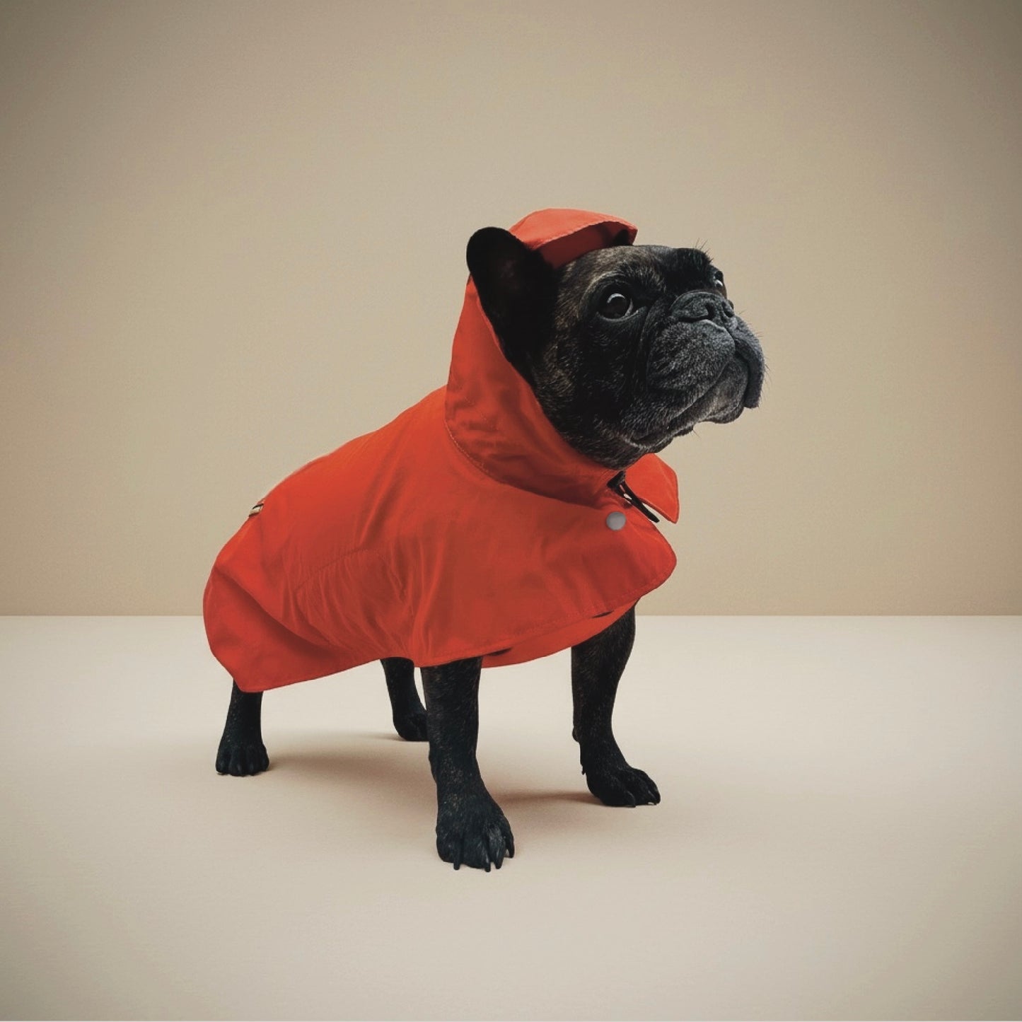 Impermeable Nube