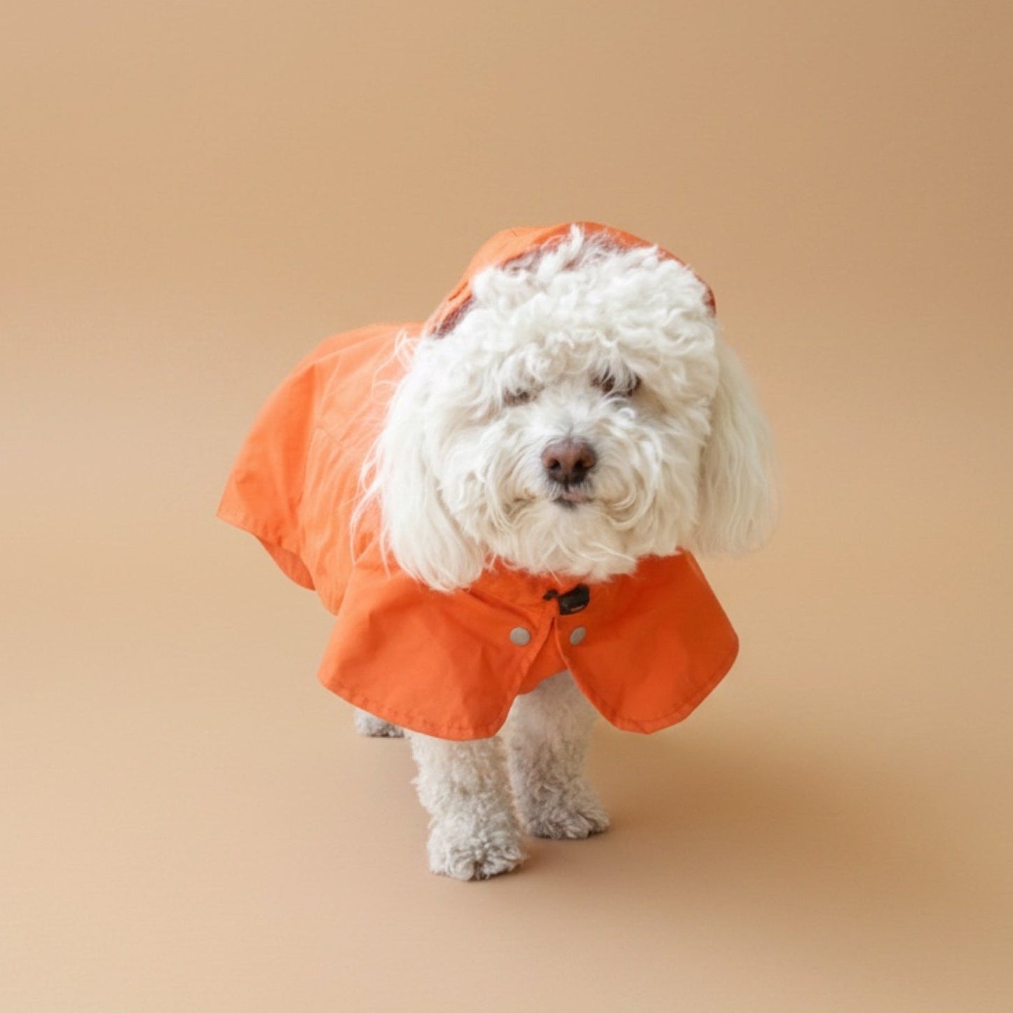 Impermeable Nube