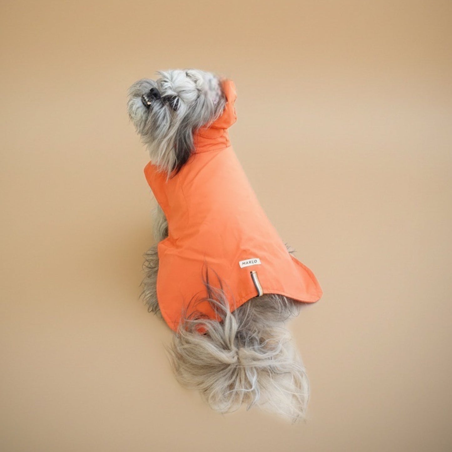 Impermeable Nube