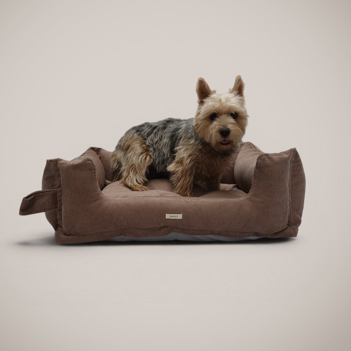 Cama Pana Algodón para perro, foto 12