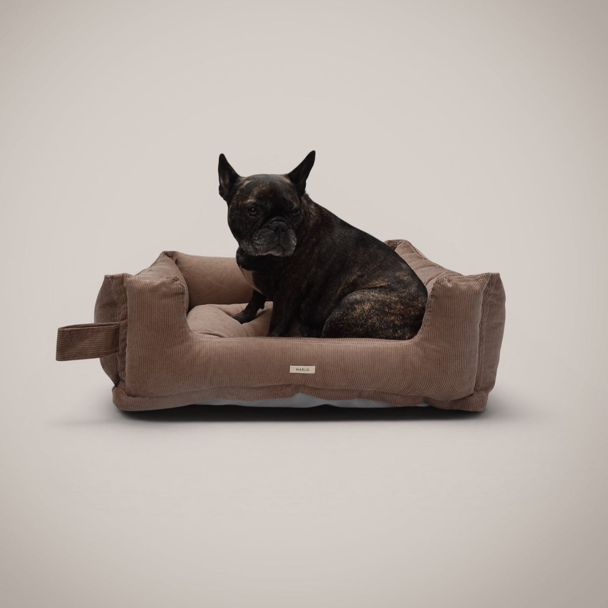 Cama Pana Algodón para perro, foto 14