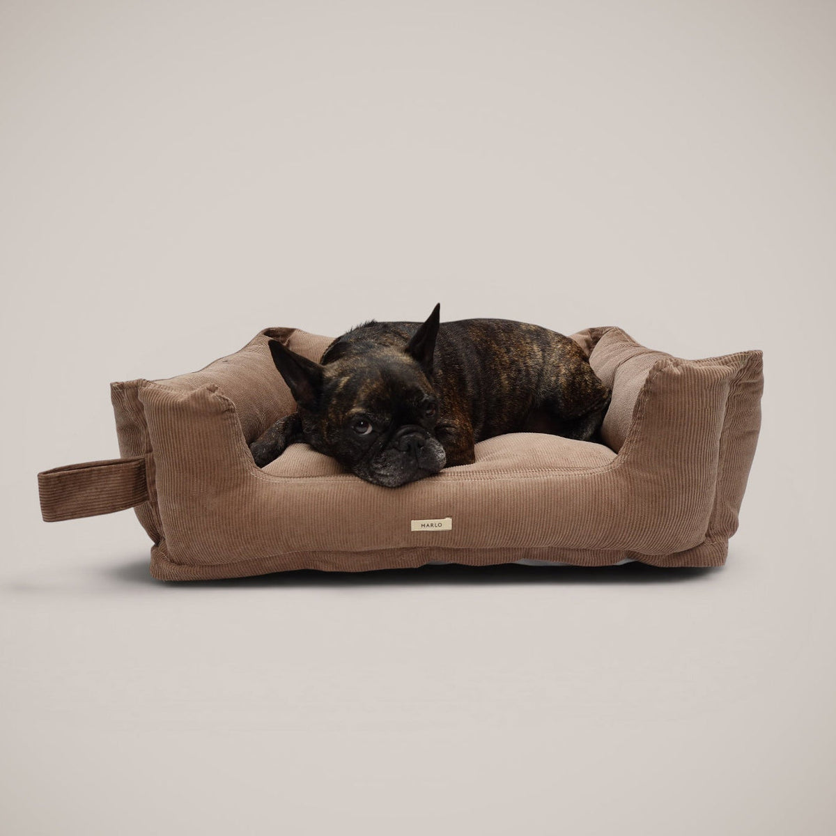 Cama Pana Algodón para perro, foto 3