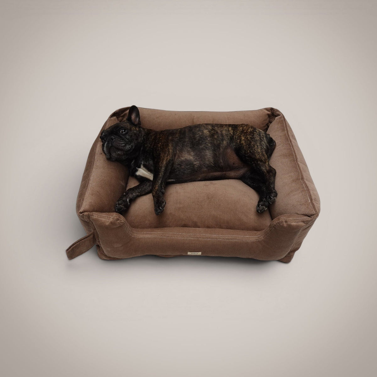 Cama Pana Algodón para perro, foto 2