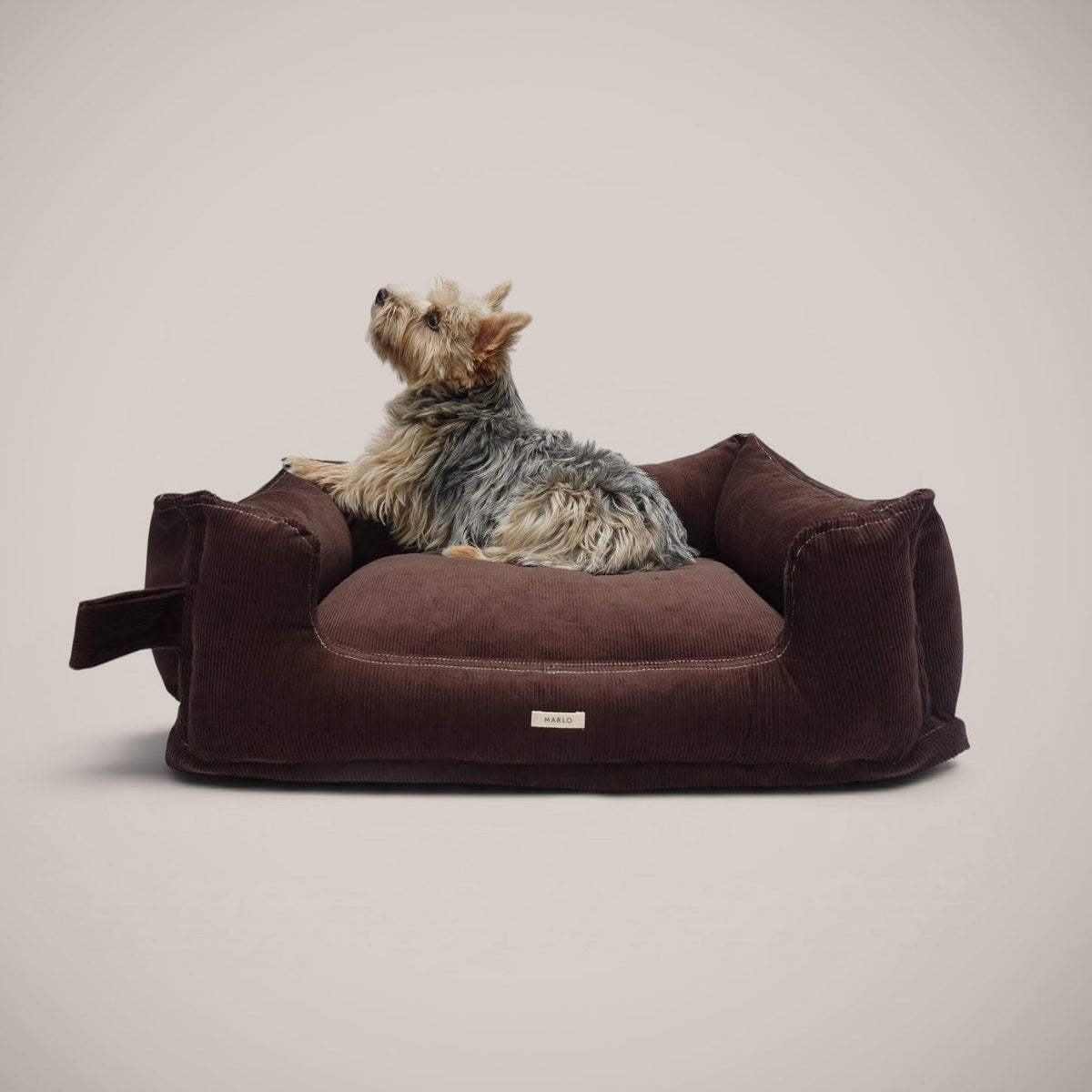Cama Pana Algodón para perro, foto 4