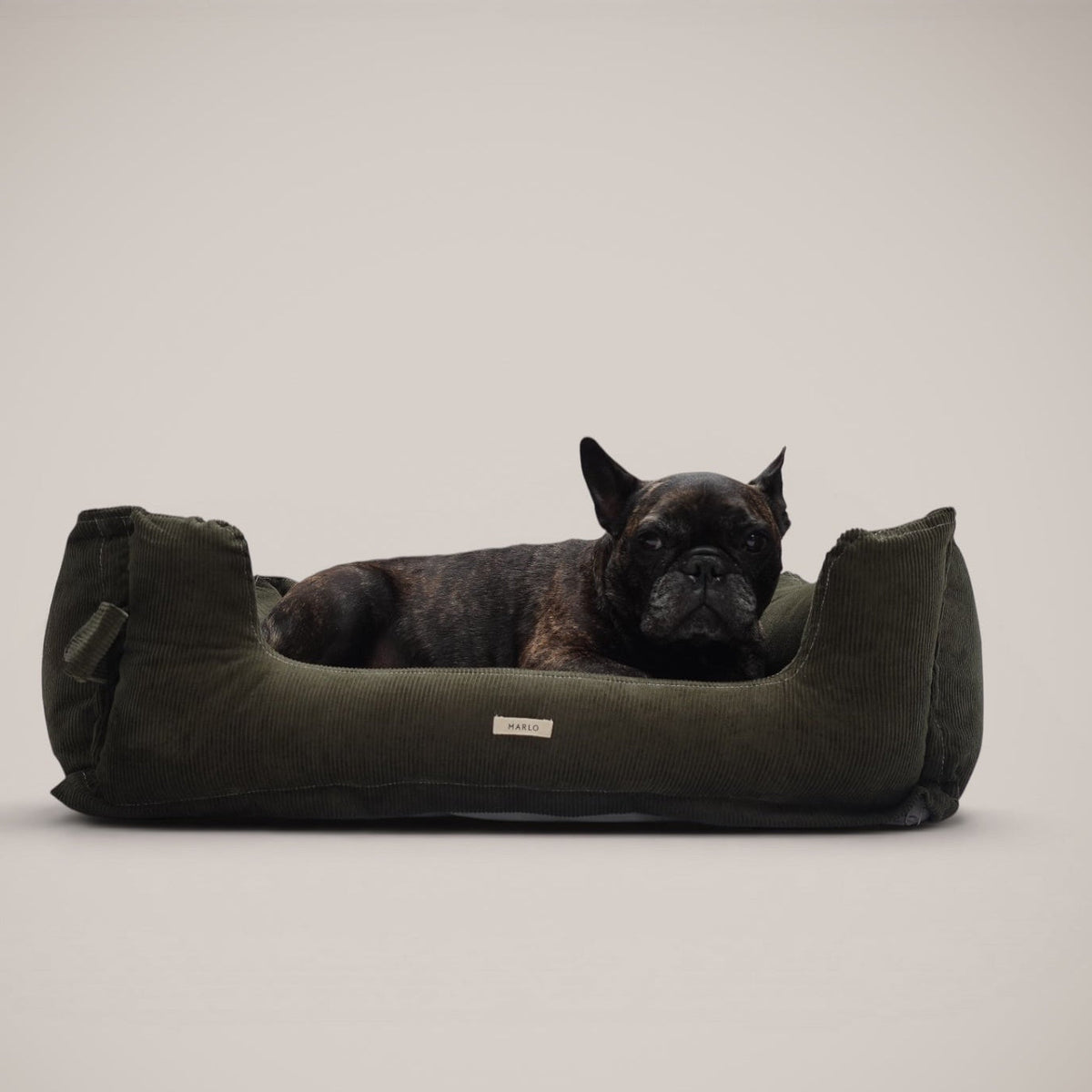 Cama Pana Algodón para perro, foto 5
