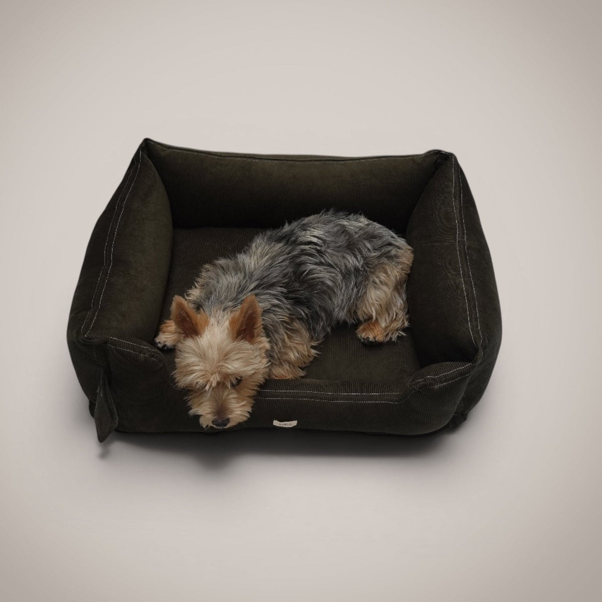 Cama Pana Algodón para perro, foto 13