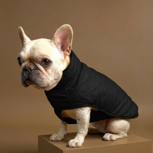 Gabardina Mostaza y negra