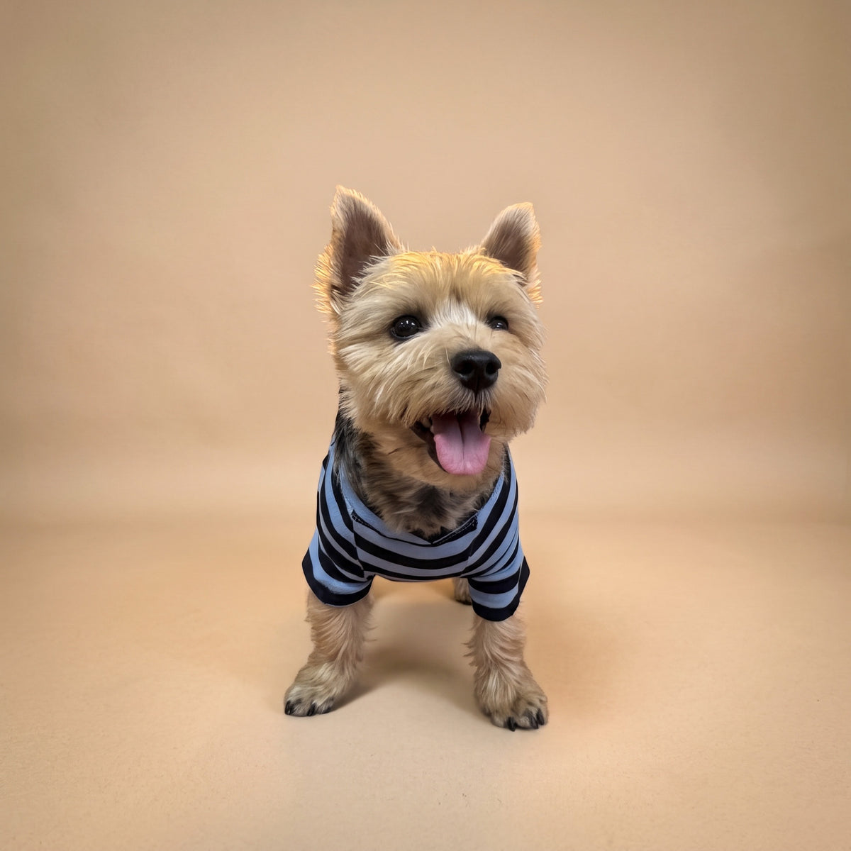 Playera de algodón azul MARLO para perro, foto 1