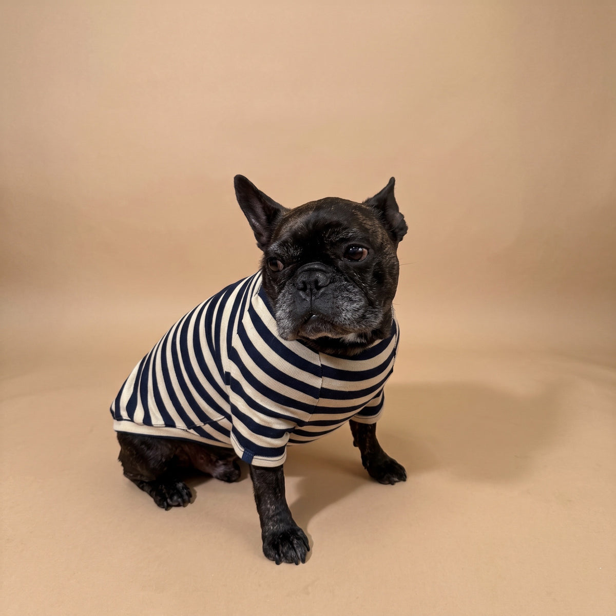 Playera de algodón azul MARLO para perro, foto 10