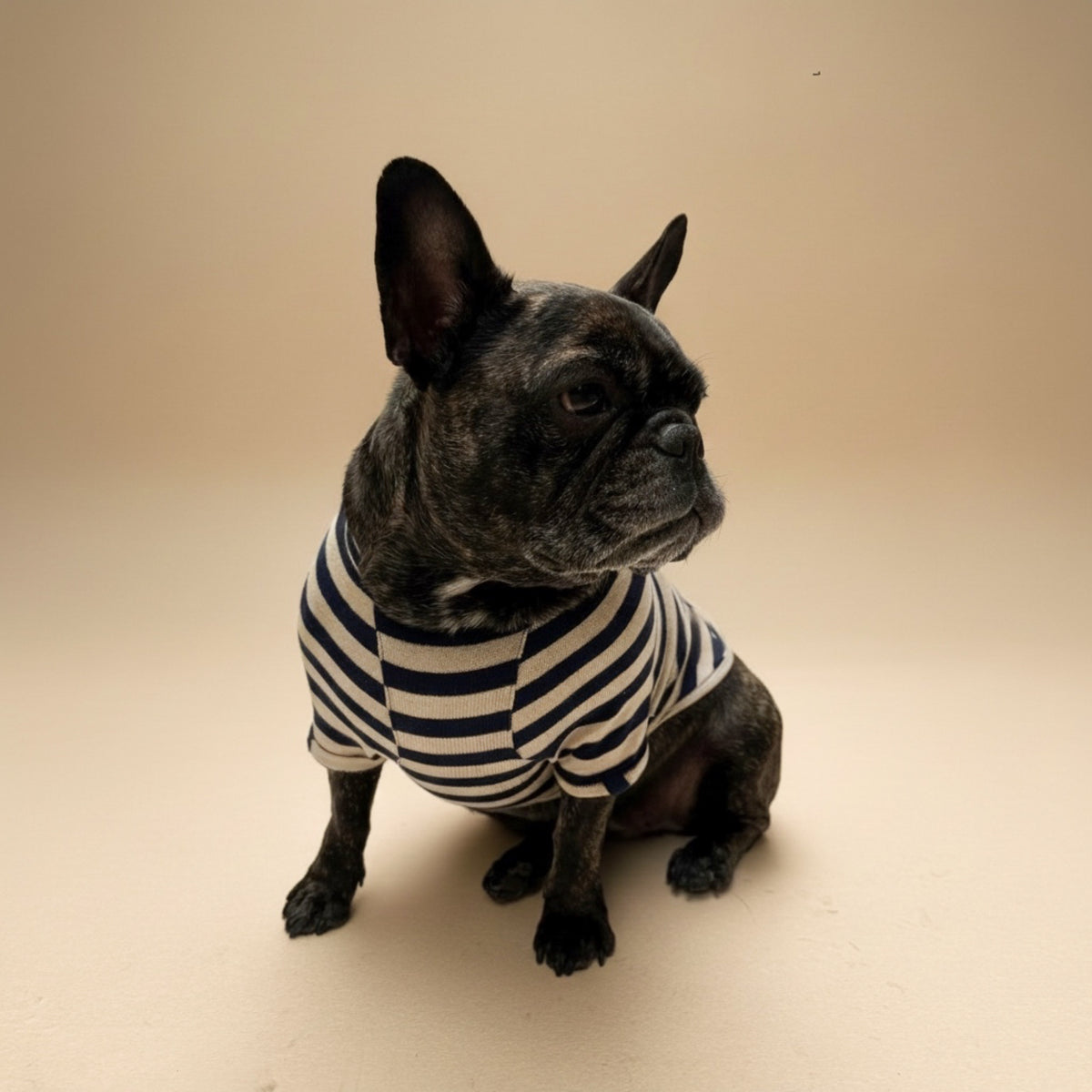 Playera de algodón beige MARLO para perro, foto 2