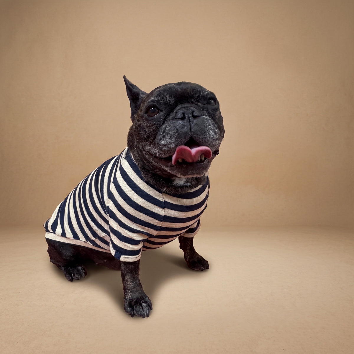 Playera de algodón beige MARLO para perro, foto 8