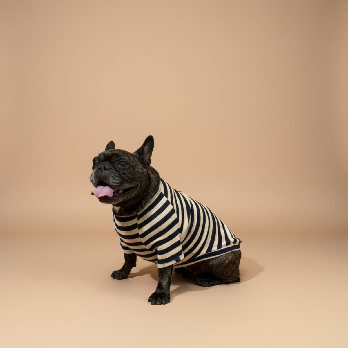 Playera de algodón beige MARLO para perro, foto 9