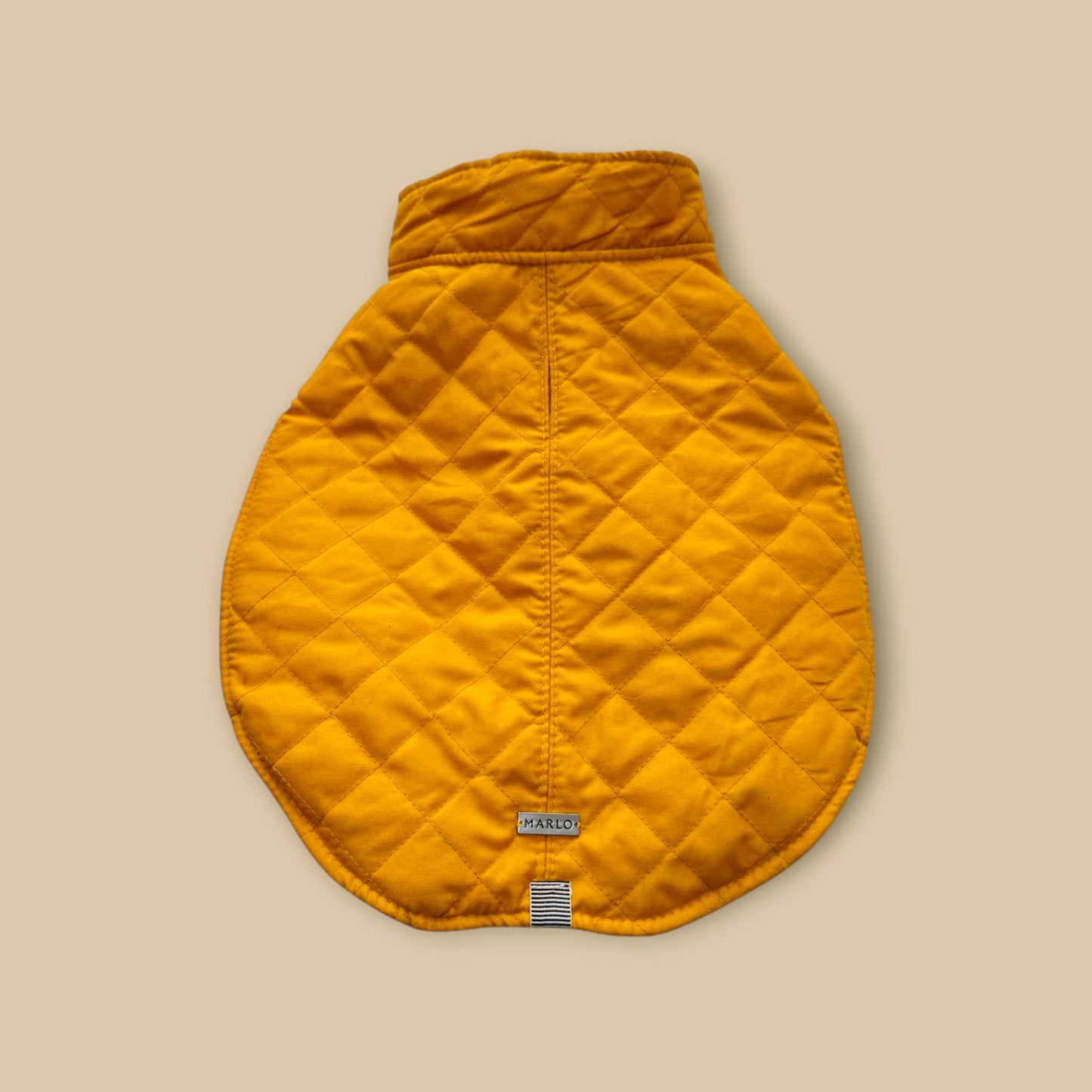 Gabardina Mostaza y negra