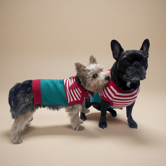 Suéter Bodo Ayudante de Santa