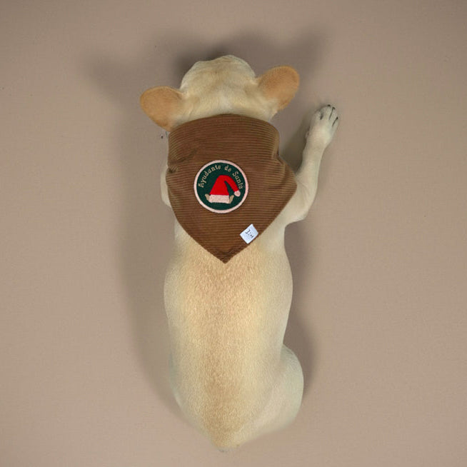 Bandana Ayudante de Santa