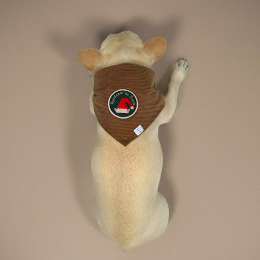 Bandana Ayudante de Santa