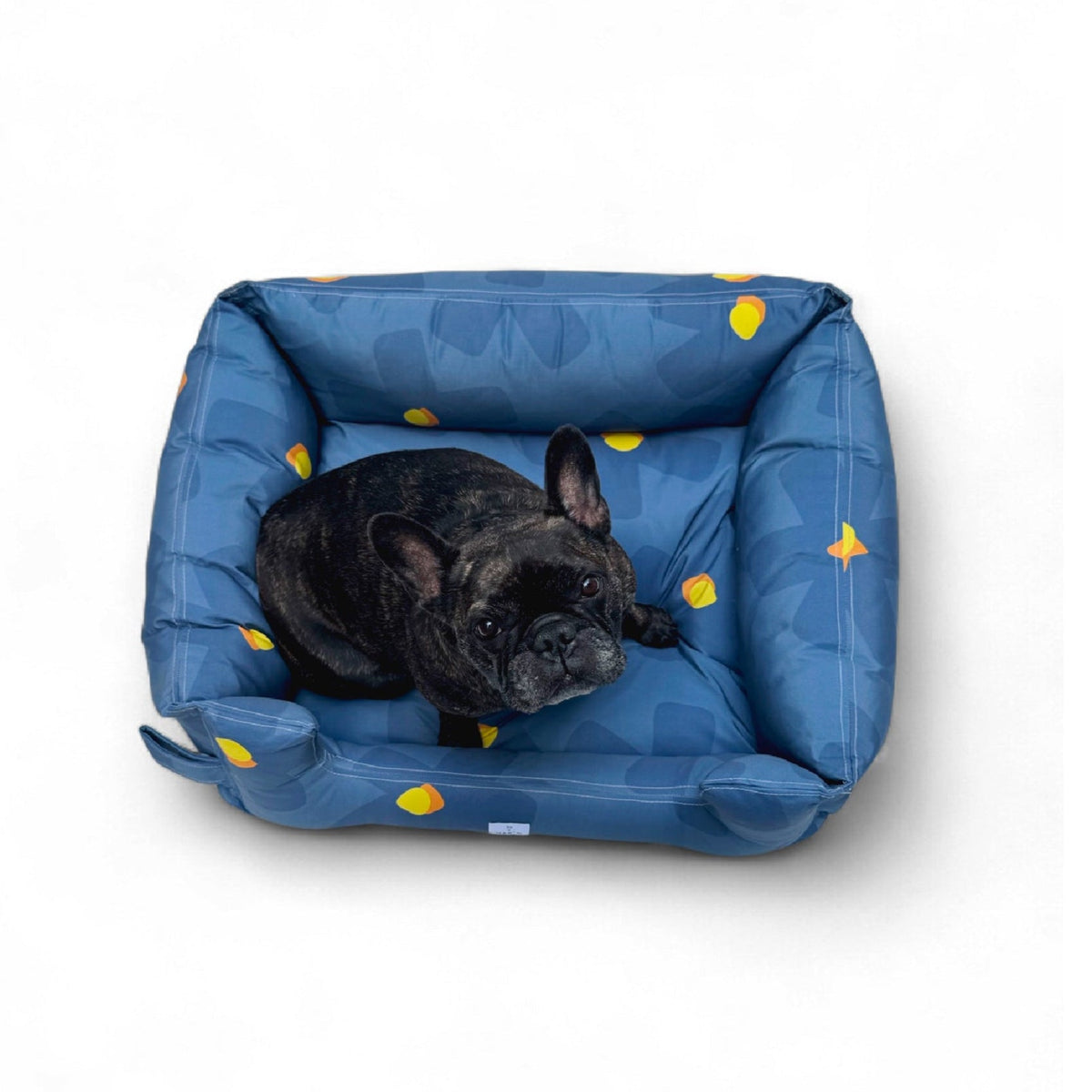 Cama Flor Azul para perro, foto 3