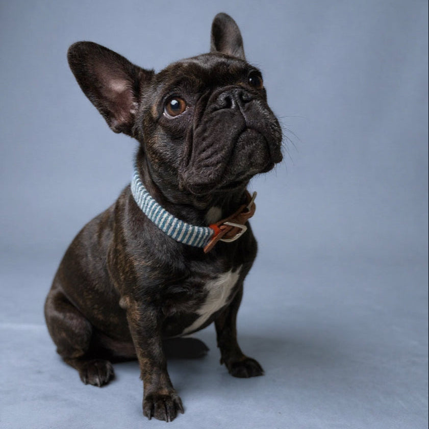 Collar de Piel con funda tejida