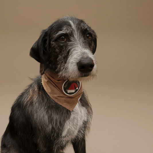 Bandana Ayudante de Santa