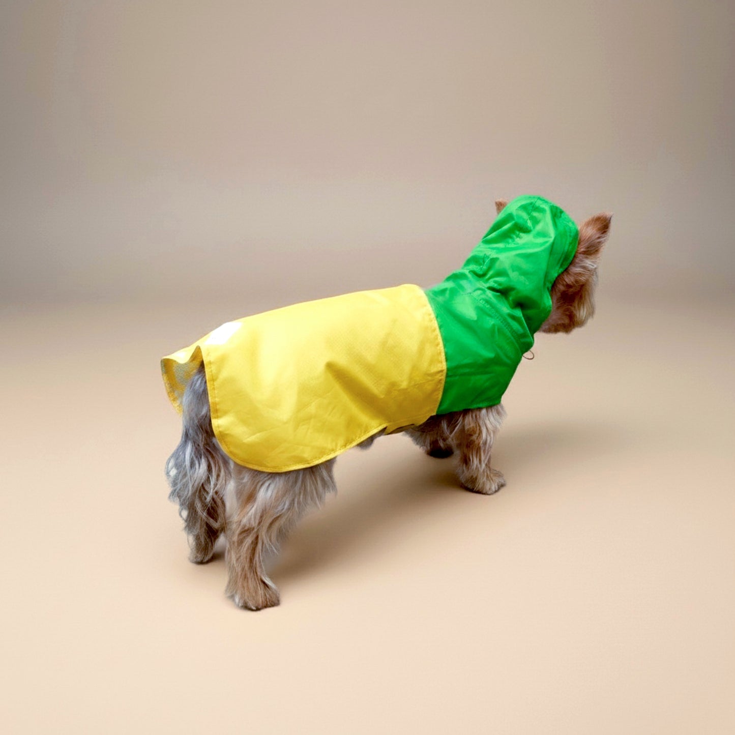 Impermeable Bodo Rana