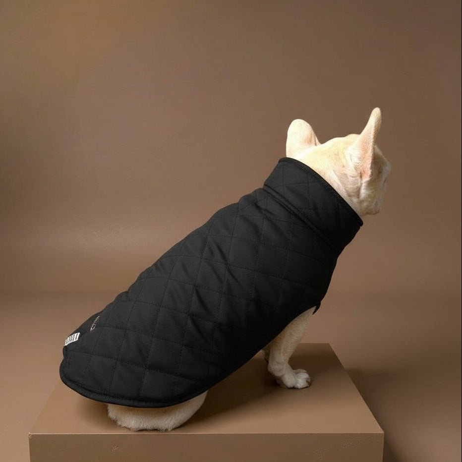 Gabardina Mostaza y negra