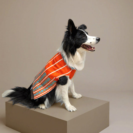 Suéter Lineas Naranja