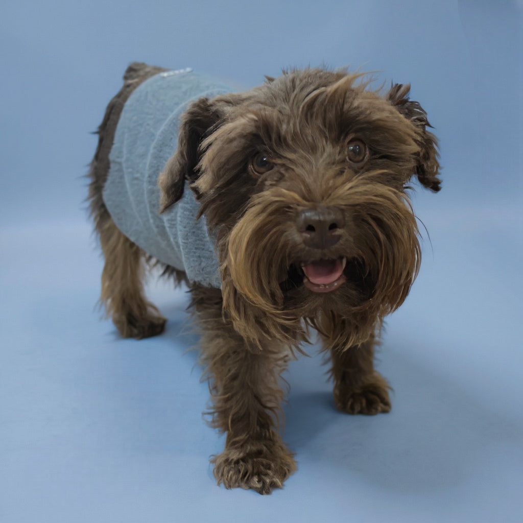 Suéter Bodo Invierno